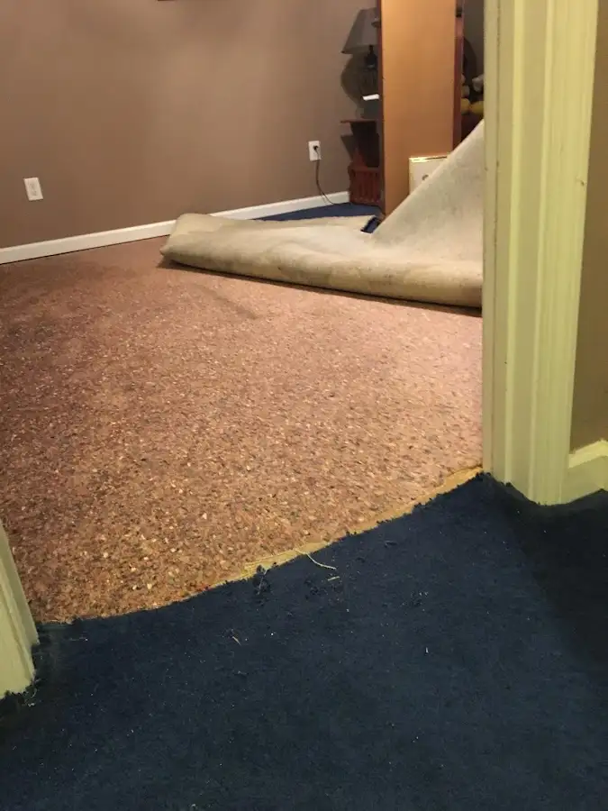 Carpet pad removal revealing water damage during Water Mitigation Services in Merchantville